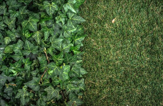 愛知を拠点にリアルな質感が魅力の人工芝を取り扱っている専門業者です